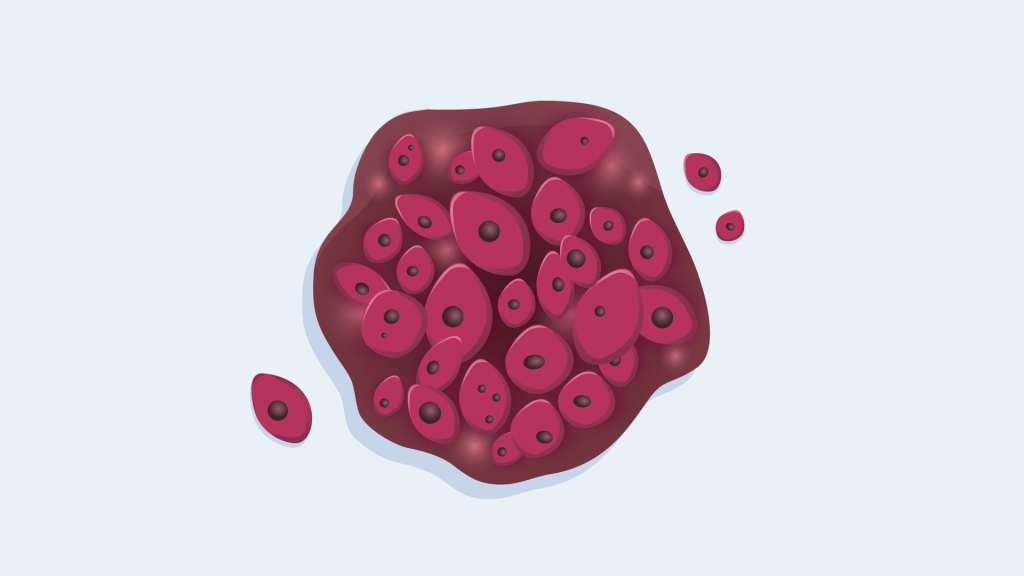Digitale folder Behandelgids Oncologie
