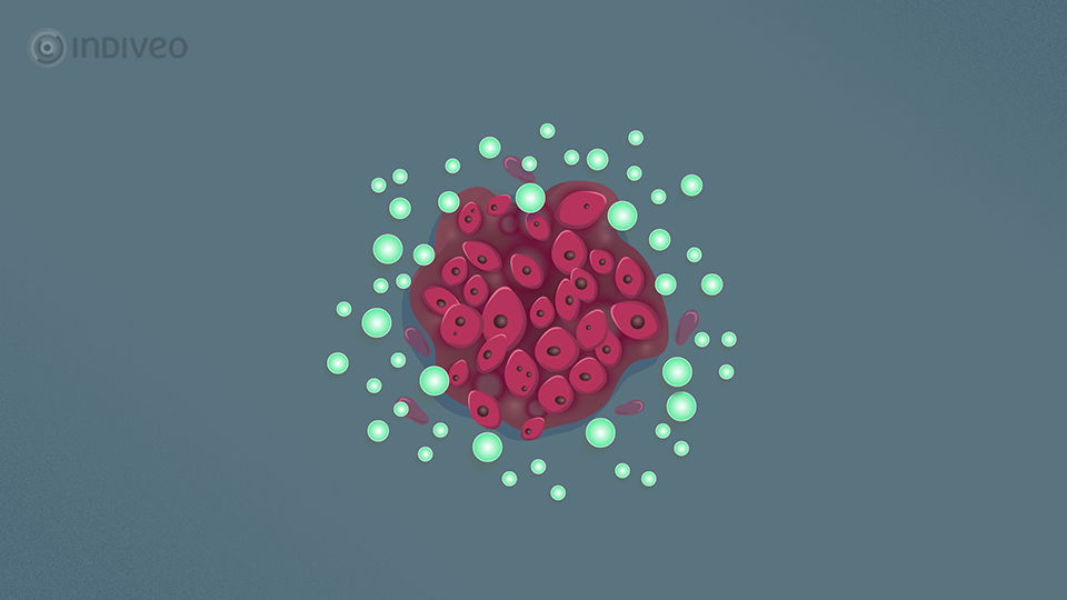 Digitale folder Doelgerichte therapie