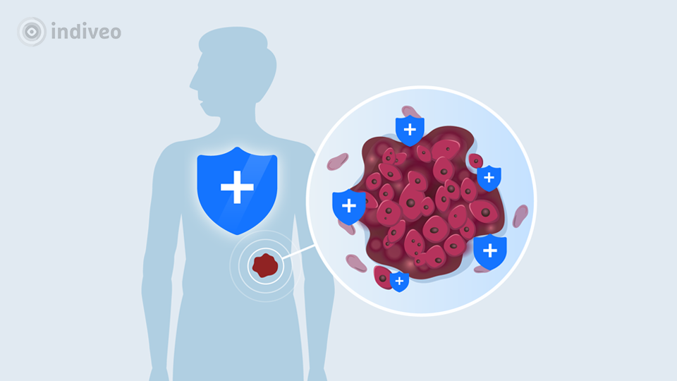 Digitale folder Immunotherapie