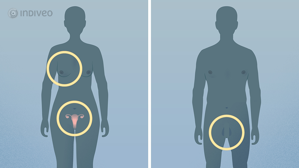 Digitale folder Hormoontherapie