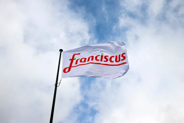 vlag